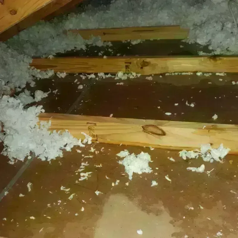 Attic Water Damage in Boone, NC