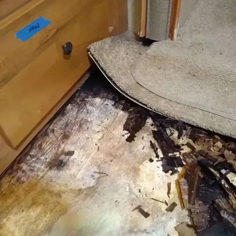 Wood Floor Water Damage in Boone, NC